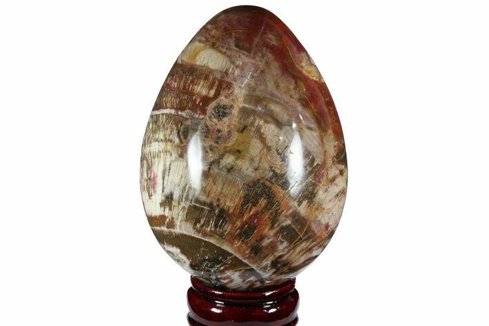 Colorful, Polished Petrified Wood Egg - Triassic #111035